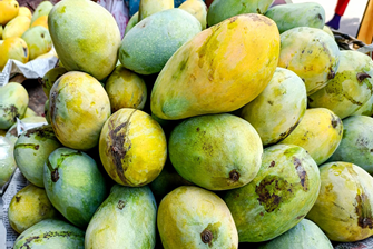 Mangga Arum Manis